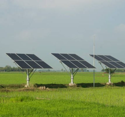 Comparing Solar Companies in Concord Which One is Best
