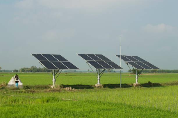 Comparing Solar Companies in Concord Which One is Best